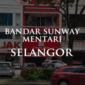 BSM_1